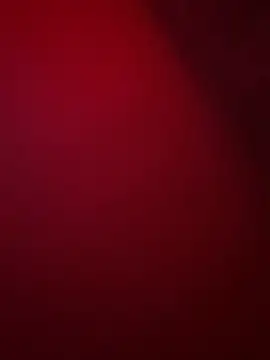 its bellZ05 online show from 06-21-26, 08:44