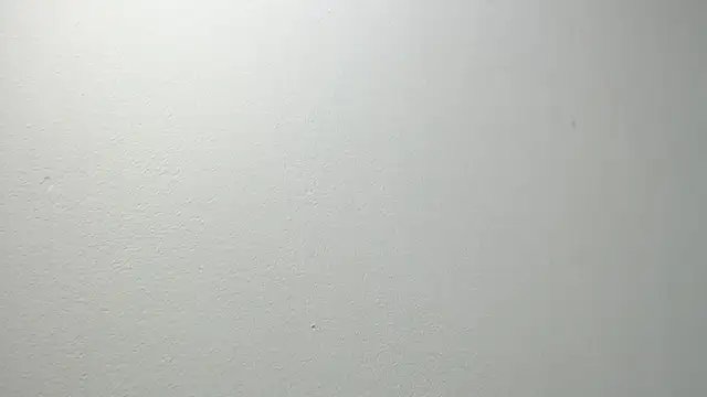 sussy leon online show from 02-20-25, 12:15