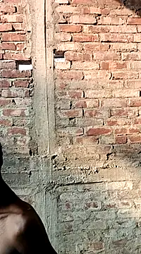 NICK IN online show from 03-02-25, 10:14