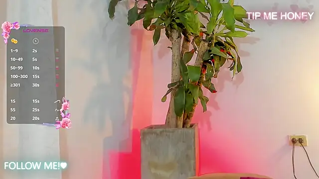 juanmiss online show from 02-05-25, 09:46