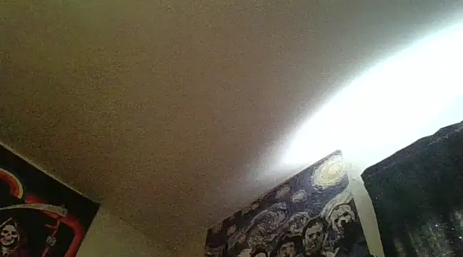 Snapshot of clitstitsandbongrips chatting on 02-13-25, 09:17 clitstitsandbongrips online show from 02-13-25, 09:17