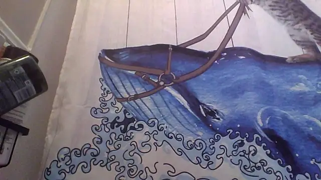 Snapshot of clitstitsandbongrips chatting on 09-16-25, 06:03 clitstitsandbongrips online show from 09-16-25, 06:03