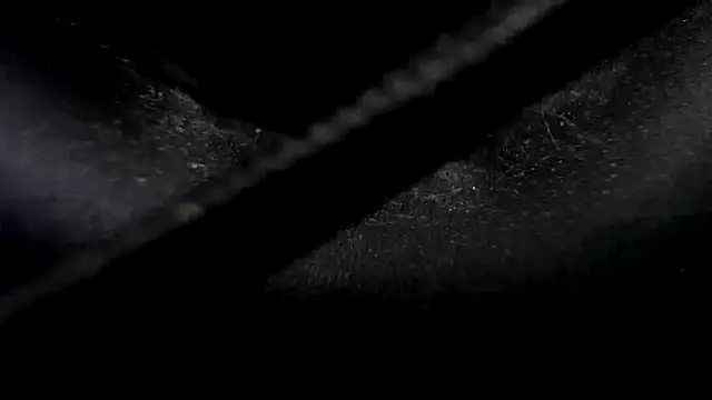 Snapshot of Niquitasparkles chatting on 01-23-25, 10:33 Niquitasparkles online show from 01-23-25, 10:33