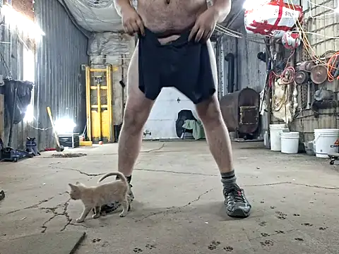 Frankdick01 online show from 11-08-25, 04:12