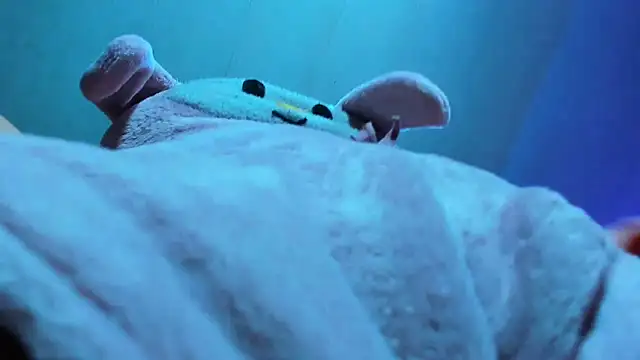 Snapshot of Lily_stone04 chatting on 12-16-25, 08:08 Lily stone04 online show from 12-16-25, 08:08