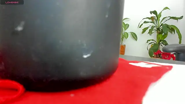 Michel Jones online show from 03-08-25, 12:11