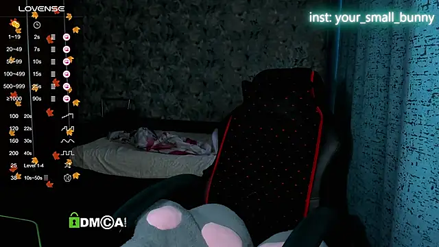 Your small bunny online show from 11-15-25, 02:09