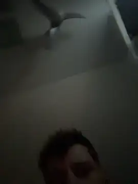 janberlin online show from 02-25-26, 08:02