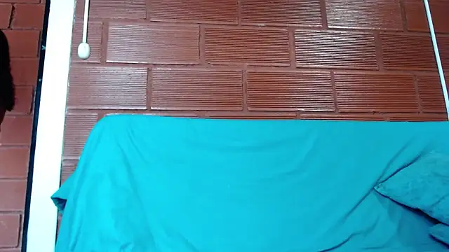 Snapshot of Priyalakshmi_ chatting on 01-10-25, 03:16 Priyalakshmi online show from 01-10-25, 03:16