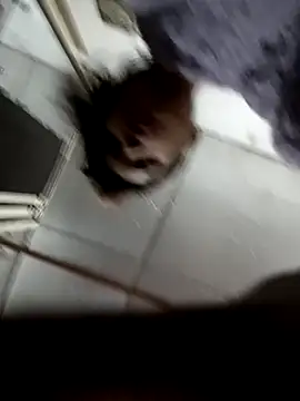 Snapshot of zoya_khan25 chatting on 12-28-24, 02:42 zoya khan25 online show from 12-28-24, 02:42