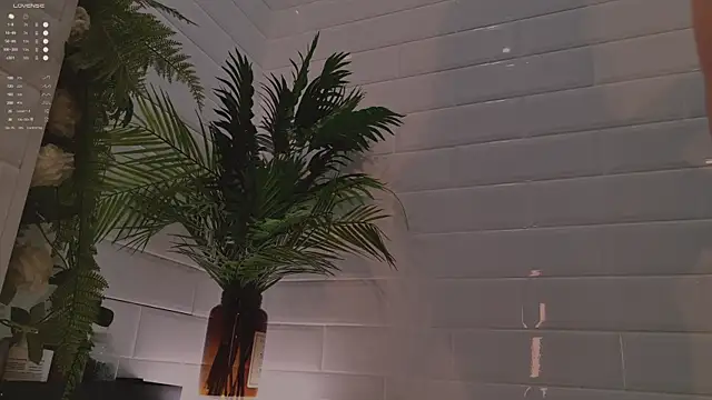 Snapshot of MichaellaMoon chatting on 12-03-25, 02:15 MichaellaMoon online show from 12-03-25, 02:15