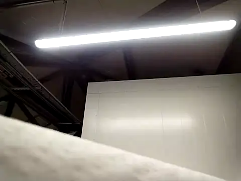 Piroca meladinha online show from 01-10-26, 06:48