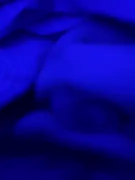 feuerfick online show from 01-28-25, 05:43