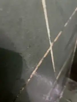 Snapshot of gzn01 chatting on 10-28-25, 04:49 gzn01 online show from 10-28-25, 04:49