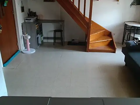 Lauzo21 online show from 04-29-26, 05:33