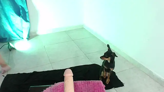 April sexycurvi online show from 11-21-25, 01:37