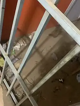 Black mamba madingo online show from 03-12-25, 04:08