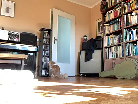 Bula94193 online show from 03-16-26, 09:13