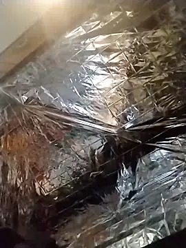 axelongshaft69 online show from 12-19-24, 01:50