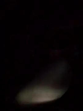 axelongshaft69 online show from 03-09-26, 12:53