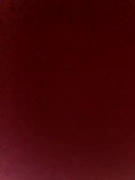 axelongshaft69 online show from 05-13-26, 07:55