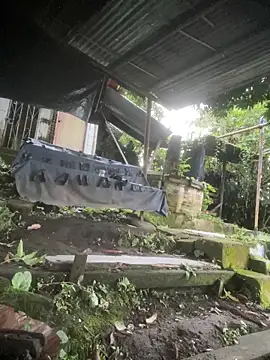 Jestebanano online show from 03-31-26, 11:21