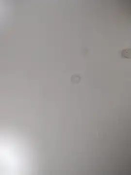 geilerschwanz64 online show from 10-24-25, 07:05