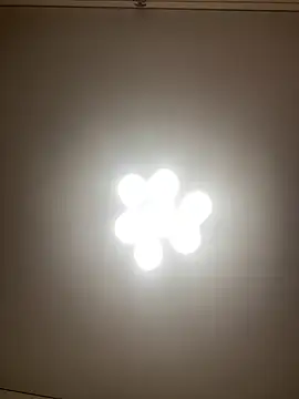 Janet Welder online show from 12-10-24, 02:16