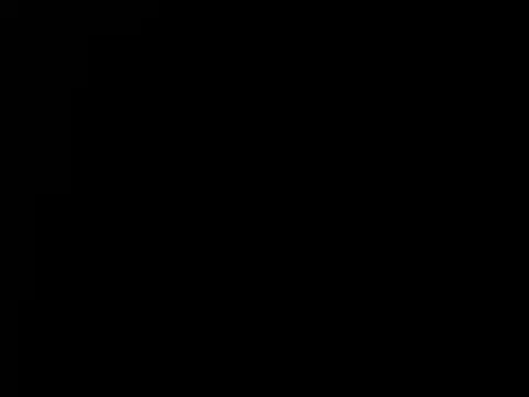 torilux online show from 12-18-24, 05:59