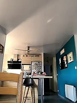 bogland33 online show from 11-18-25, 08:19