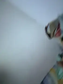 SweetBonniie online show from 11-03-25, 12:02