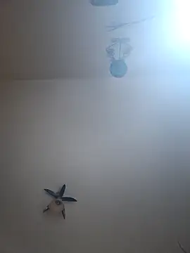 vulpe8400 online show from 04-07-26, 10:31