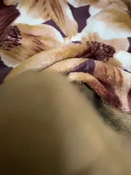 hamed-697 online show from 12-16-24, 08:48