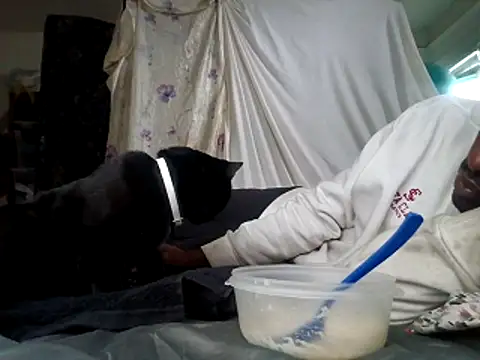 Snapshot of DevinToore chatting on 12-15-25, 06:01 DevinToore online show from 12-15-25, 06:01