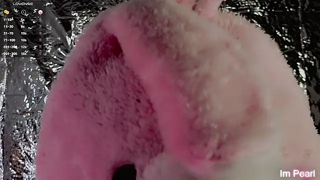 im pearll online show from 04-25-26, 07:33