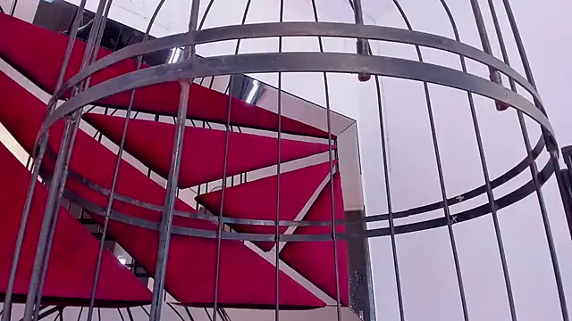 Snapshot of GiaFu chatting on 01-25-25, 09:14 GiaFu online show from 01-25-25, 09:14