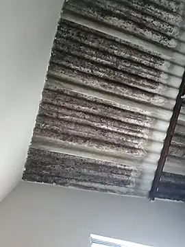 Snapshot of putoso031 chatting on 02-23-25, 06:23 putoso031 online show from 02-23-25, 06:23