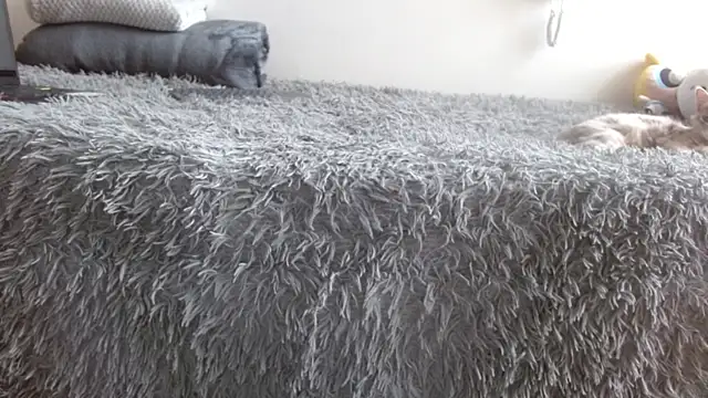 Mar gh online show from 04-28-26, 05:18