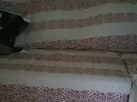 VeneRed online show from 04-17-26, 09:45