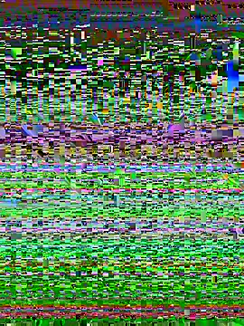 desiduzz21 online show from 02-22-25, 11:24