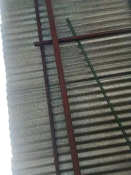 Snapshot of elputoflaco chatting on 01-09-26, 11:46 elputoflaco online show from 01-09-26, 11:46