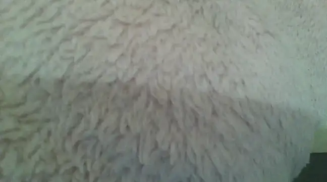 Snapshot of samanta0033 chatting on 12-02-24, 09:17 samanta0033 online show from 12-02-24, 09:17