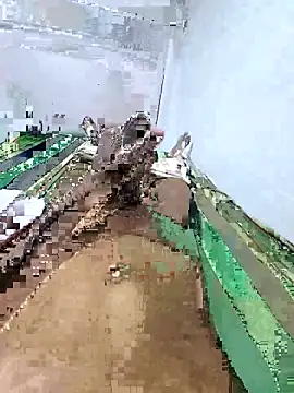 Snapshot of Pathirajasenerath chatting on 10-23-25, 09:02 Pathirajasenerath online show from 10-23-25, 09:02