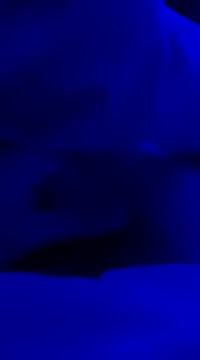 jhon hout online show from 02-14-25, 08:59