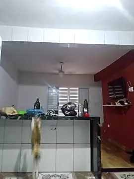 VibratedPoaching online show from 03-19-26, 01:59