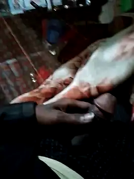 Antor1234 online show from 12-15-24, 06:37