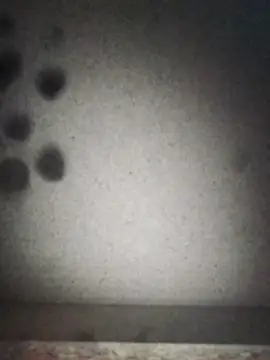 Leocesar37 online show from 09-12-25, 07:19