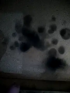 Leocesar37 online show from 04-13-26, 02:17