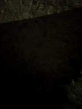 Whiskyboye online show from 06-10-26, 03:33