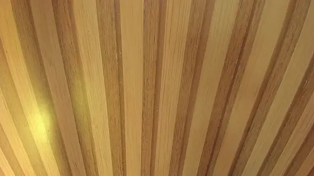 Taylor  cooper online show from 04-18-26, 06:23